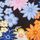 Pure Black Floral Print Black