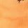 Citrus Orange