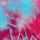 Chill Raspberry Blue