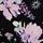 Black Starry Floral
