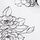 White Outline Floral