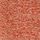 Cinnamon Spice Brown