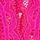 Forever Pink
