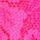 Atomic Pink With Graphic Pink