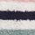 White Stripe