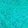 Aqua Sea Green