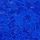 Blue Oar