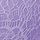 Star Lilac Purple Lace
