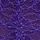 Brilliant Purple