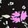 Pure Black Floral