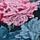 Bloom Print