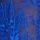 Blue Oar