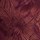 Burgundy Purple