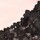 Pink w Black Lace