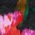 Pure Black Soft Floral
