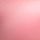 Pink Roses