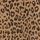 Leopard Print