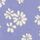 Blue Floral