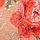 Tomato Red Embroidered Illuminating Blooms