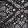 Black Paisley