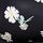 Pure Black Daisy Floral