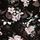 Black Meadow Floral