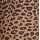 Brown Leopard