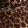 Leopard Brown