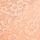 Sunlit Apricot Orange