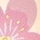 Japanese Cherry Blossom