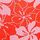 Red Hibiscus