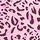 Pink Leopard