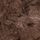 Brown Bear