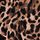 Leopard Brown