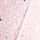 Pink Tulip