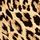 Leopard Brown