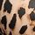 Leopard Brown