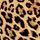 Leopard Brown