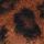 Brown Leopard