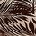 Palm Brown