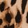 Leopard Brown