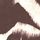 Zebra Brown
