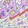 Paisley Pink