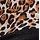 Brown Leopard