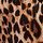 Leopard Brown
