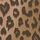 Brown Leopard
