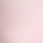 Pink Tulip