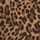 Brown Leopard