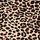 Leopard Brown