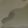 Khaki Camo